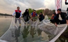 Dünyada en çok aranan leopar sazanı Dicle Nehri’nde bulundu