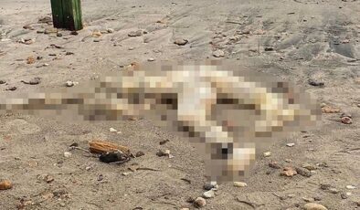 Sahilde başı olmayan erkek cesedi bulundu