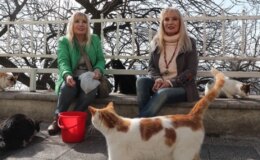 Ünlü ikizler Meral ve Zuhal kardeşler, Kadıköy Moda sokaklarında 150 kediye bakıyor