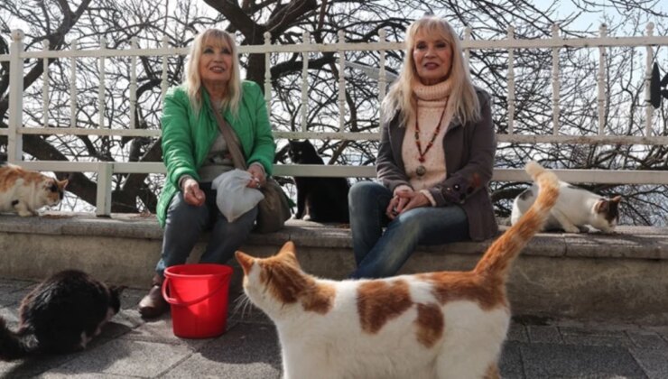Ünlü ikizler Meral ve Zuhal kardeşler, Kadıköy Moda sokaklarında 150 kediye bakıyor