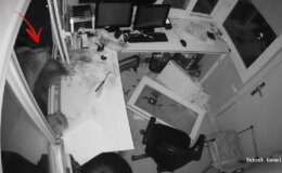 Güvenlik kulübesine davetsiz misafir! Yiyecek bulamayınca ortalığı birbirine kattı