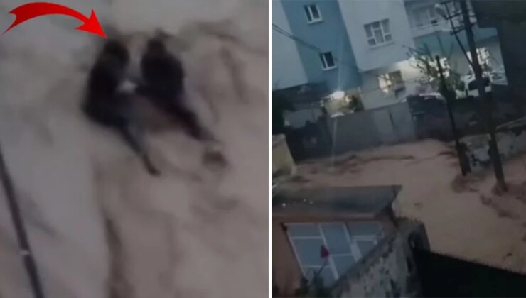 Sele kapılarak sürüklenen 2 kişi son anda kurtuldu, o anlar kamerada