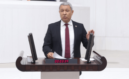 CHP’li Sümer: “Yandaş zenginliğini katlasın diye 4000 ağaç kesilecek”