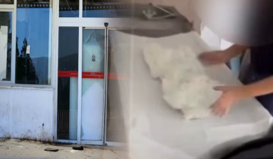 Çürümeye terk edilen devlet hastanesi görenleri şok etti