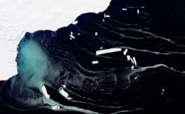 Buzun 450 metre altında tuhaf bir hayvan sürüsü tespit edildi