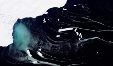 Buzun 450 metre altında tuhaf bir hayvan sürüsü tespit edildi